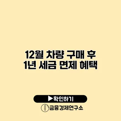 12월 차량 구매 후 1년 세금 면제 혜택