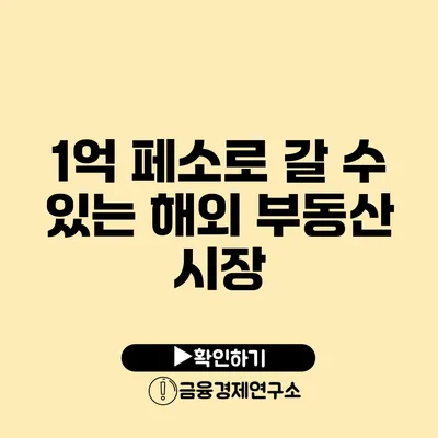 1억 페소로 갈 수 있는 해외 부동산 시장