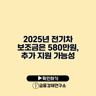 2025년 전기차 보조금은 580만원, 추가 지원 가능성?