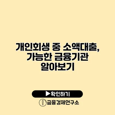 개인회생 중 소액대출, 가능한 금융기관 알아보기