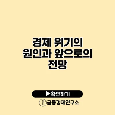 경제 위기의 원인과 앞으로의 전망