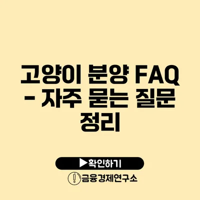 고양이 분양 FAQ - 자주 묻는 질문 정리