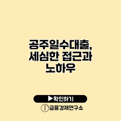 공주일수대출, 세심한 접근과 노하우