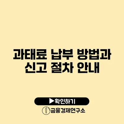 과태료 납부 방법과 신고 절차 안내