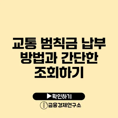 교통 범칙금 납부 방법과 간단한 조회하기