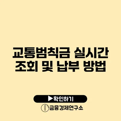 교통범칙금 실시간 조회 및 납부 방법