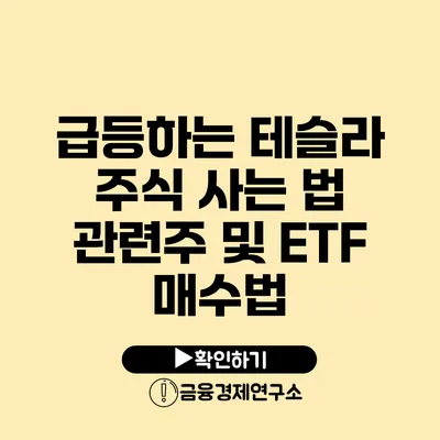 급등하는 테슬라 주식 사는 법 관련주 및 ETF 매수법