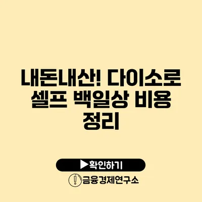 내돈내산! 다이소로 셀프 백일상 비용 정리