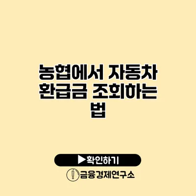 농협에서 자동차 환급금 조회하는 법