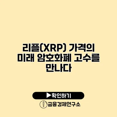 리플(XRP) 가격의 미래 암호화폐 고수를 만나다