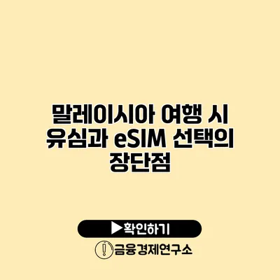 말레이시아 여행 시 유심과 eSIM 선택의 장단점