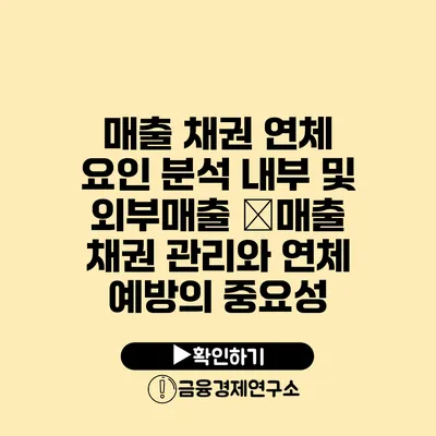 매출 채권 연체 요인 분석 내부 및 외부매출 �매출 채권 관리와 연체 예방의 중요성