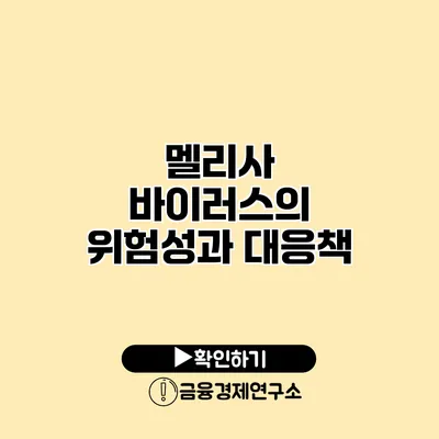 멜리사 바이러스의 위험성과 대응책