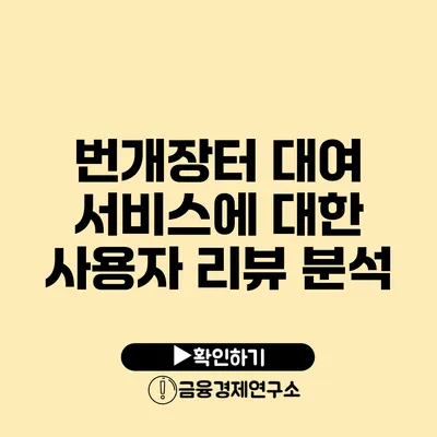 번개장터 대여 서비스에 대한 사용자 리뷰 분석