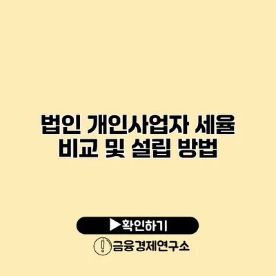 법인 개인사업자 세율 비교 및 설립 방법