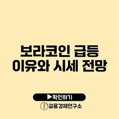 보라코인 급등 이유와 시세 전망