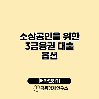 소상공인을 위한 3금융권 대출 옵션