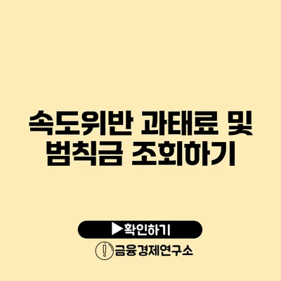 속도위반 과태료 및 범칙금 조회하기