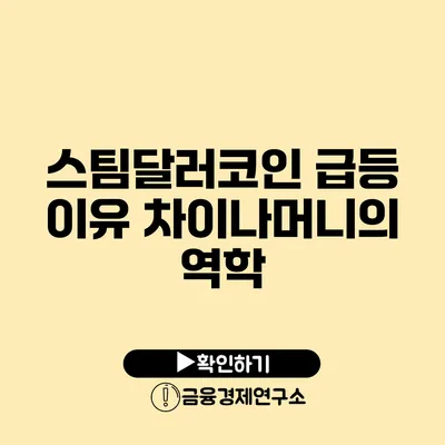 스팀달러코인 급등 이유 차이나머니의 역학