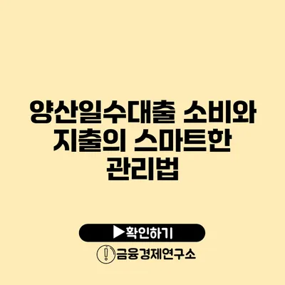 양산일수대출: 소비와 지출의 스마트한 관리법