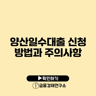 양산일수대출 신청 방법과 주의사항