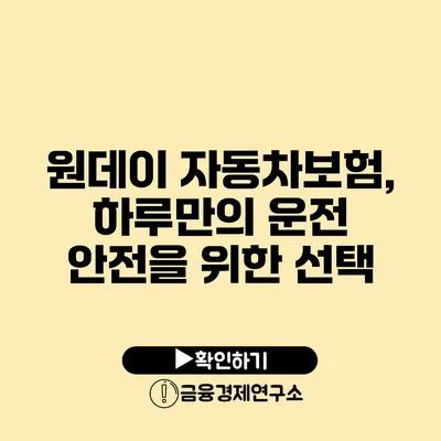 원데이 자동차보험, 하루만의 운전 안전을 위한 선택