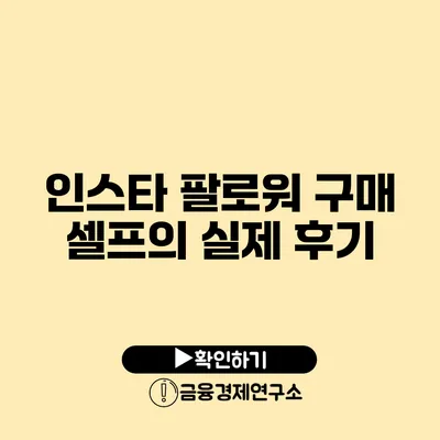 인스타 팔로워 구매 셀프의 실제 후기