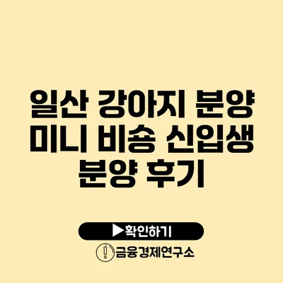 일산 강아지 분양 미니 비숑 신입생 분양 후기