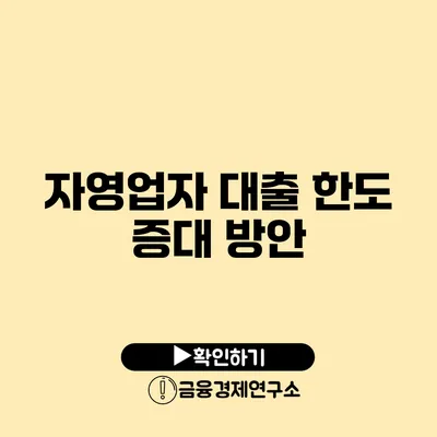 자영업자 대출 한도 증대 방안