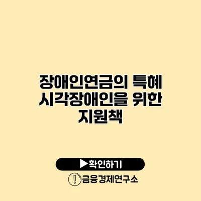 장애인연금의 특혜 시각장애인을 위한 지원책