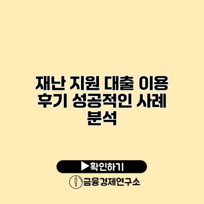 재난 지원 대출 이용 후기 성공적인 사례 분석
