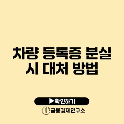 차량 등록증 분실 시 대처 방법