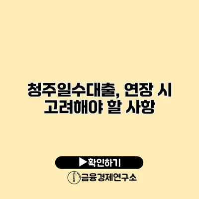 청주일수대출, 연장 시 고려해야 할 사항