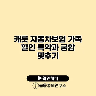 캐롯 자동차보험 가족 할인 특약과 궁합 맞추기