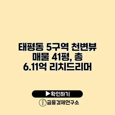 태평동 5구역 천변뷰 매물 41평, 총 6.11억 리치드리머