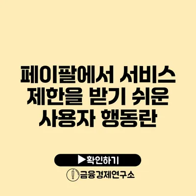 페이팔에서 서비스 제한을 받기 쉬운 사용자 행동란