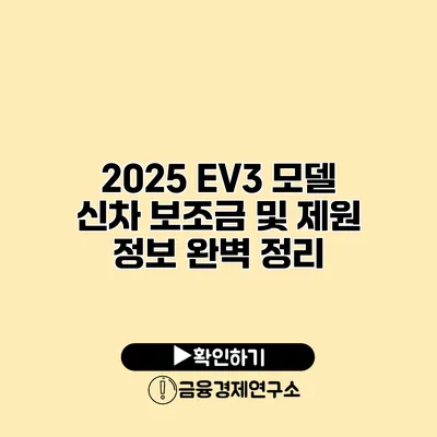 2025 EV3 모델 신차 보조금 및 제원 정보 완벽 정리