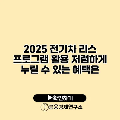 2025 전기차 리스 프로그램 활용 저렴하게 누릴 수 있는 혜택은?