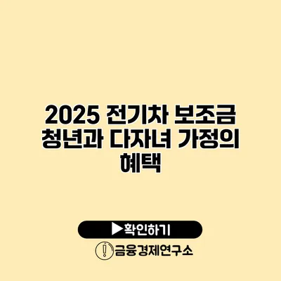 2025 전기차 보조금 청년과 다자녀 가정의 혜택