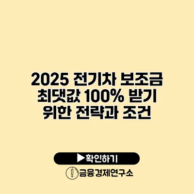 2025 전기차 보조금 최댓값 100% 받기 위한 전략과 조건
