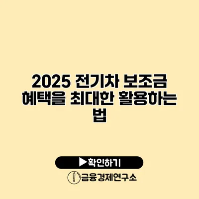 2025 전기차 보조금 혜택을 최대한 활용하는 법