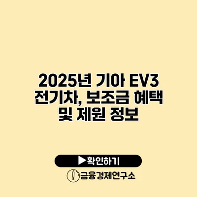 2025년 기아 EV3 전기차, 보조금 혜택 및 제원 정보