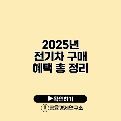 2025년 전기차 구매 혜택 총 정리