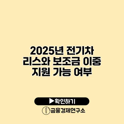 2025년 전기차 리스와 보조금 이중 지원 가능 여부