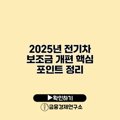2025년 전기차 보조금 개편 핵심 포인트 정리