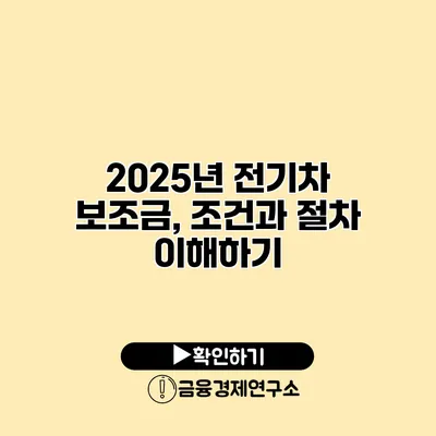 2025년 전기차 보조금, 조건과 절차 이해하기