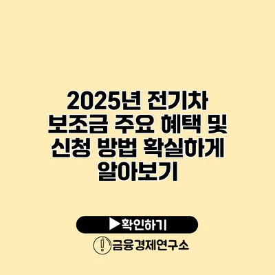 2025년 전기차 보조금 주요 혜택 및 신청 방법 확실하게 알아보기