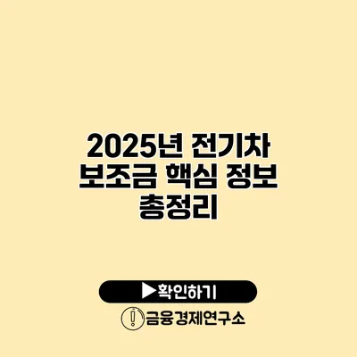 2025년 전기차 보조금 핵심 정보 총정리