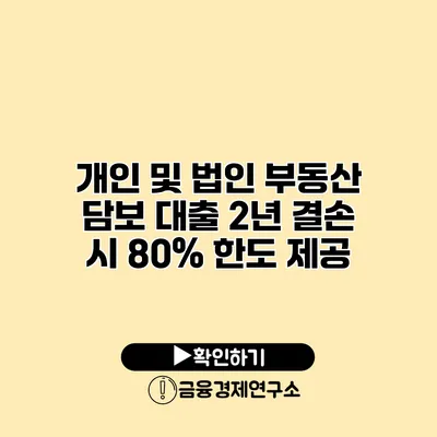 개인 및 법인 부동산 담보 대출 2년 결손 시 80% 한도 제공