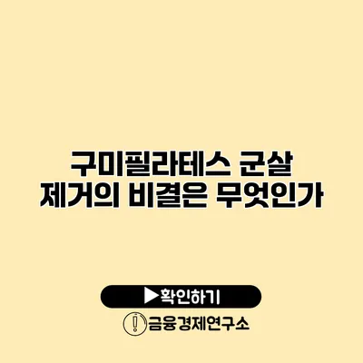 구미필라테스 군살 제거의 비결은 무엇인가?